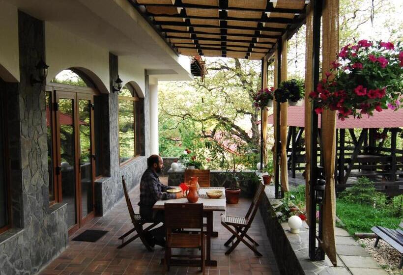 Pensiunea Comarnic Moisa