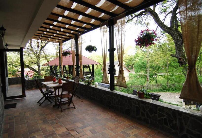 Pensiunea Comarnic Moisa