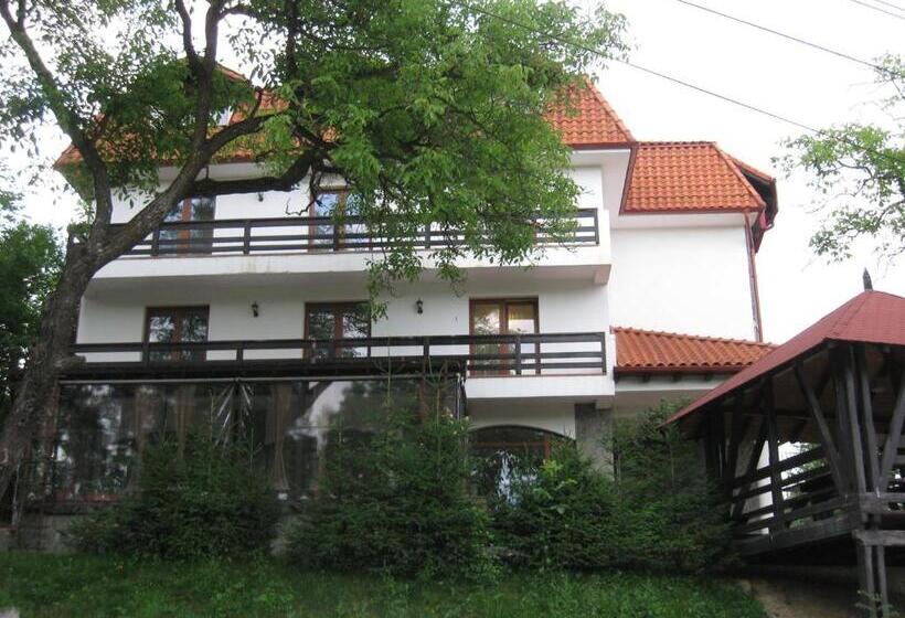 Pensiunea Comarnic Moisa