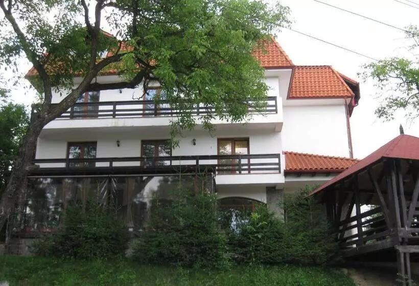Pensiunea Comarnic Moisa