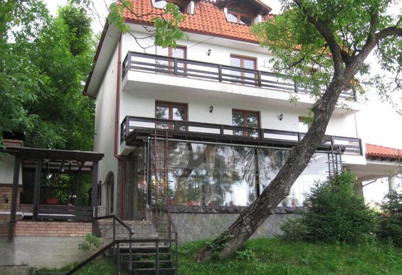 Pensiunea Comarnic Moisa