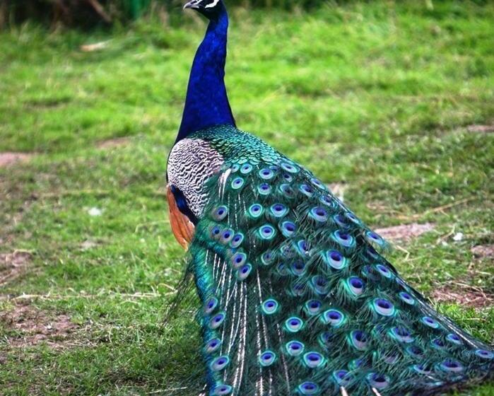 استراحتگاه Complex Turistic Darina Sancraiu De Mures