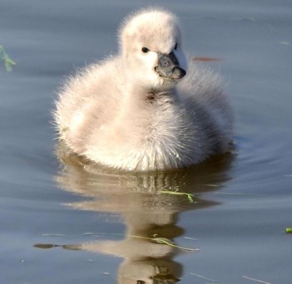 استراحتگاه Complex Turistic Darina Sancraiu De Mures