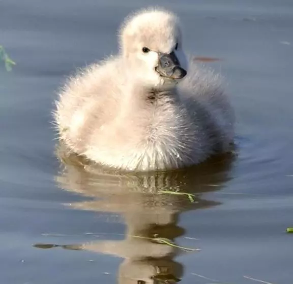 Lomakeskus Complex Turistic Darina Sancraiu De Mures
