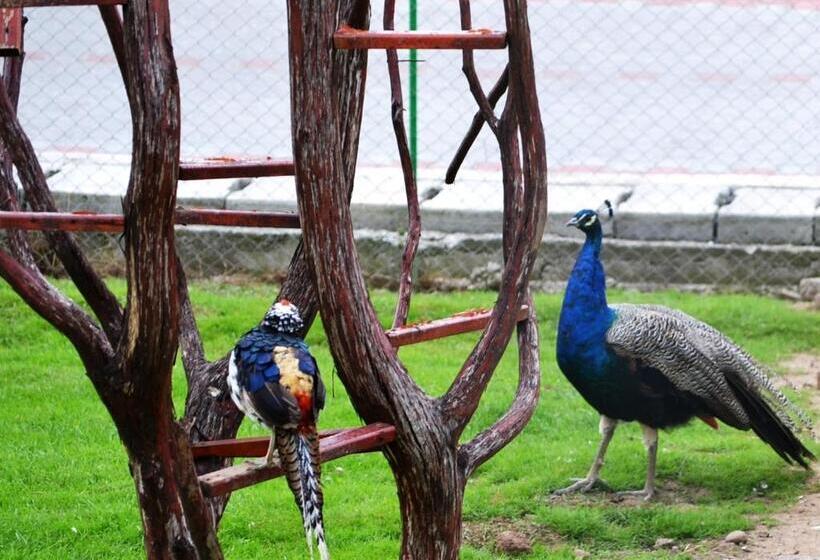 استراحتگاه Complex Turistic Darina Sancraiu De Mures