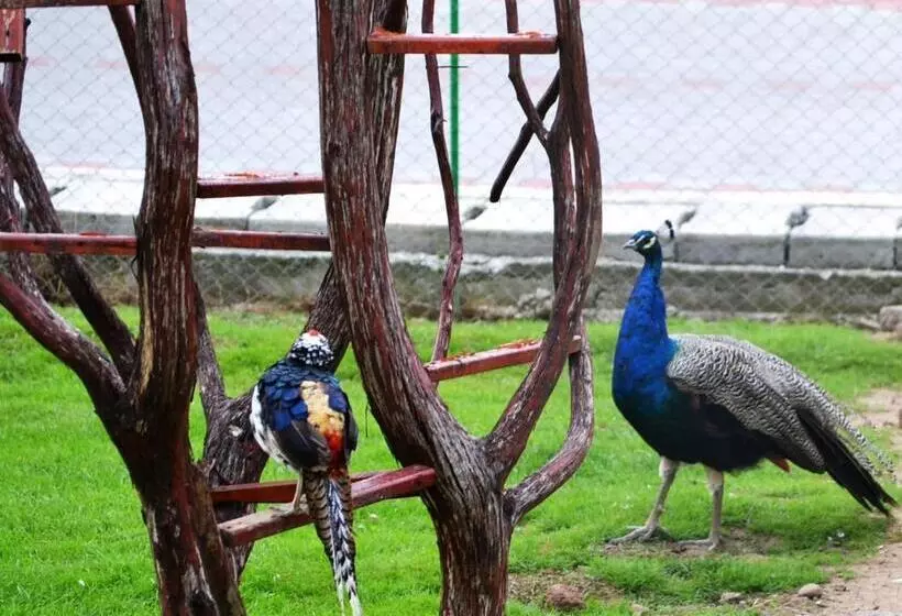 Lomakeskus Complex Turistic Darina Sancraiu De Mures
