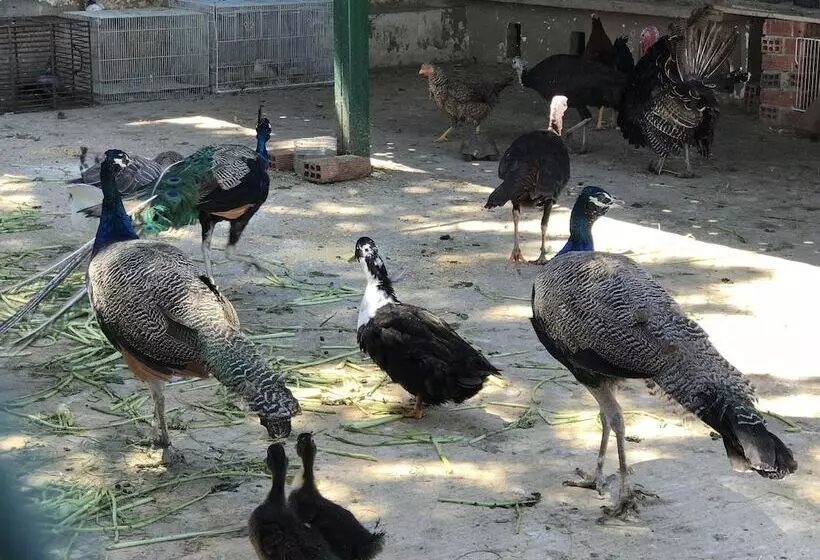 Lomakeskus Résidence Nardina Golden