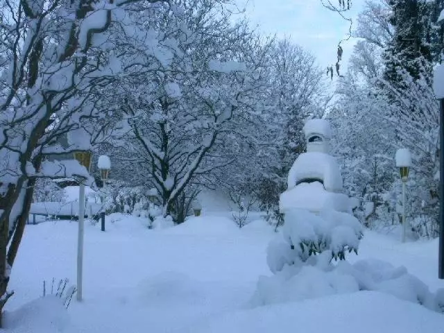 Waldpension Zum Felsenkeller