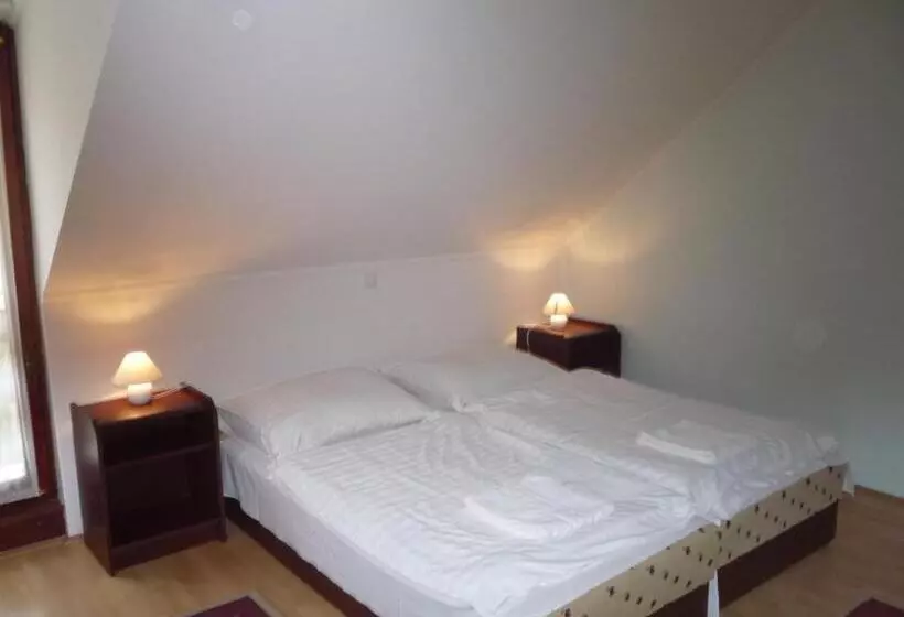 Aba Vezér Panzió