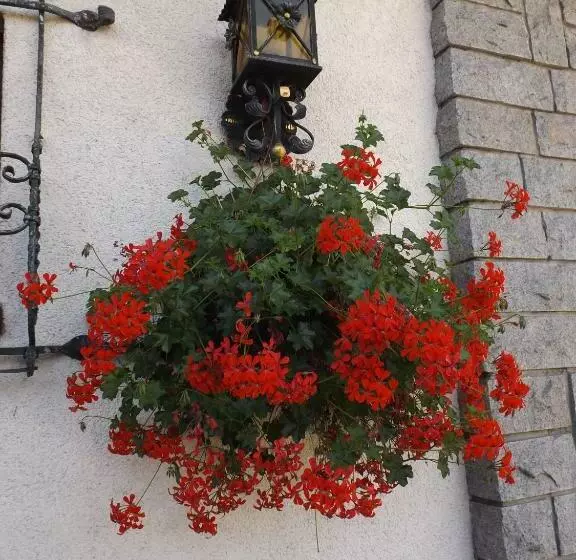 Alemannenhof Hotel Engel