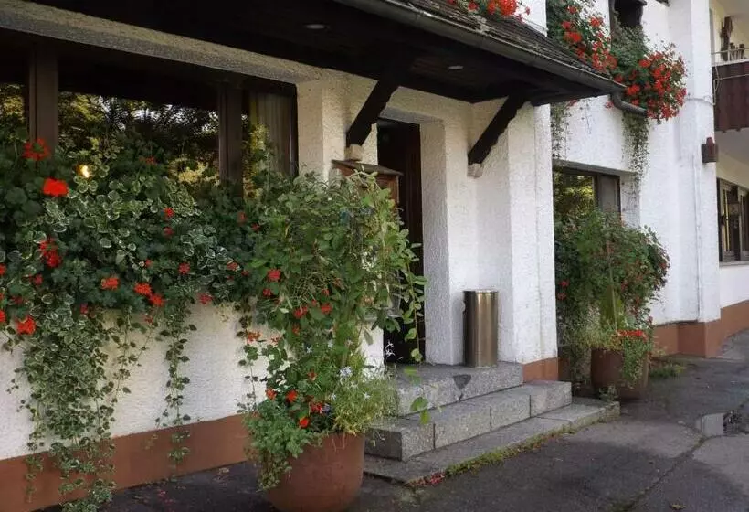 Alemannenhof Hotel Engel