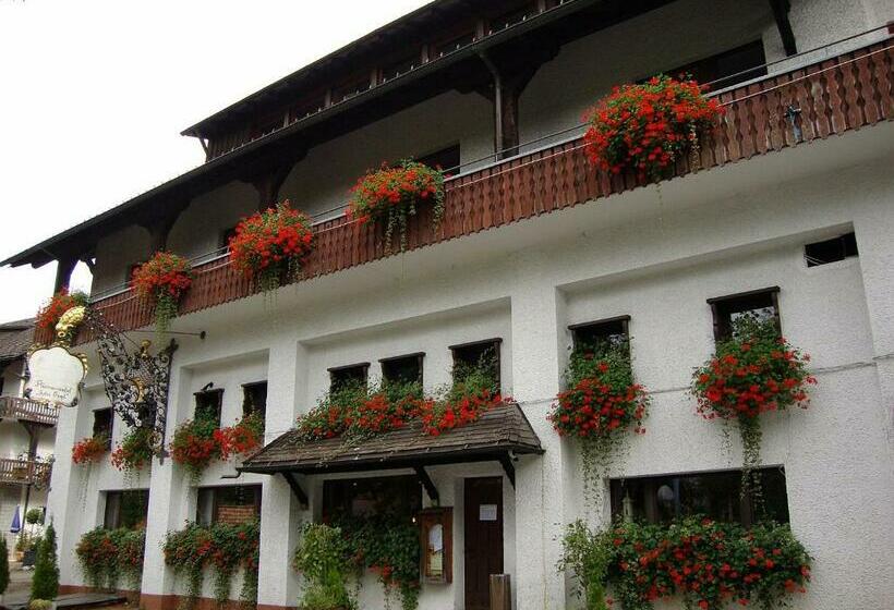 Alemannenhof Hotel Engel