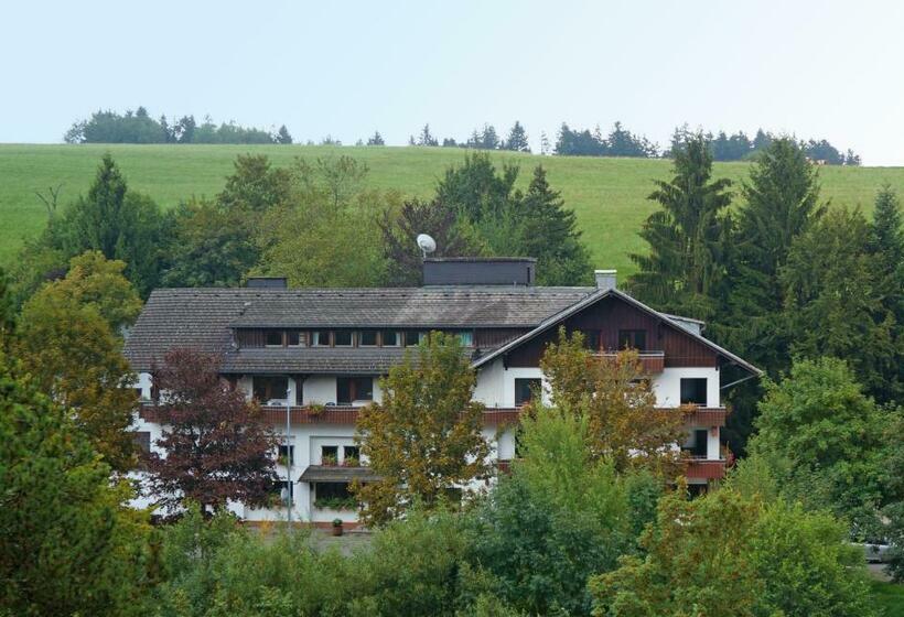 Alemannenhof Hotel Engel