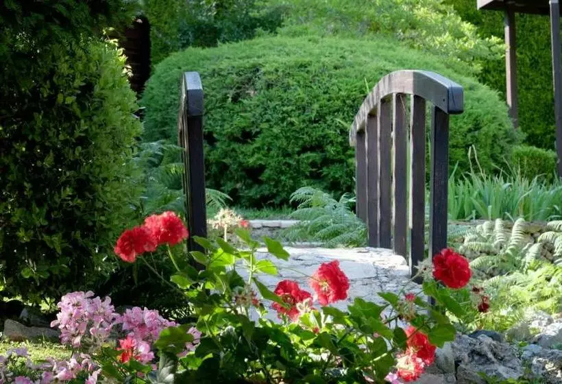 B&b Le Rose