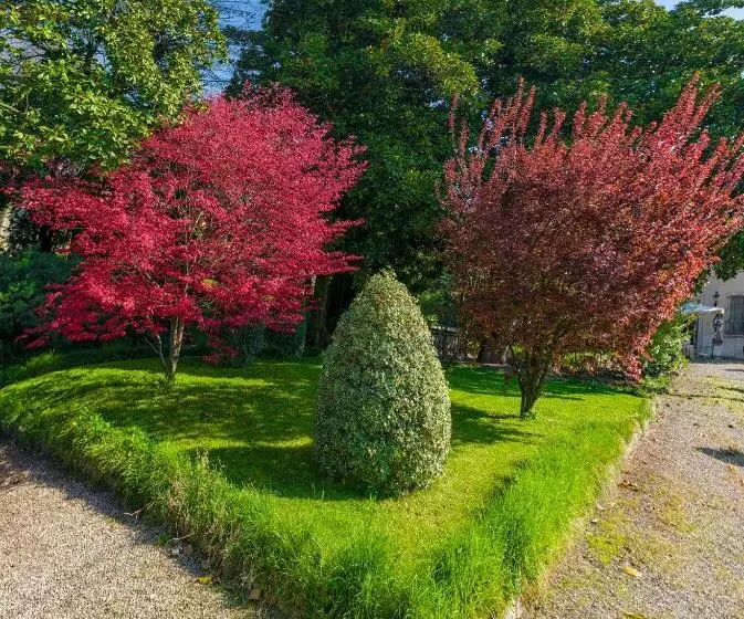 Aamiaismajoitus (B&B) Antica Dimora Conti Custoza