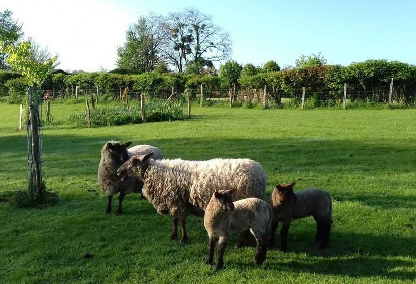 צימר Au Jardin Des Violettes