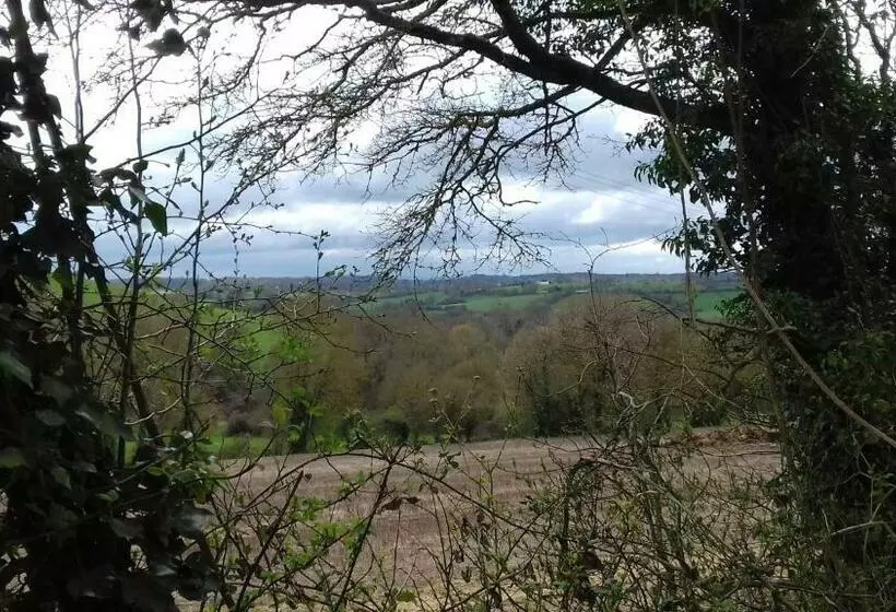 ベッドアンドブレックファースト Au Jardin Des Violettes