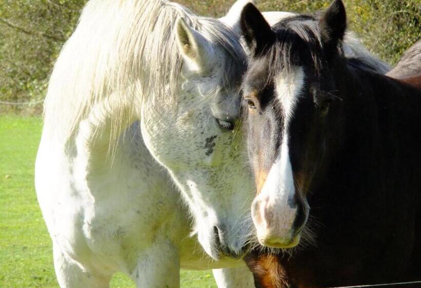 ベッドアンドブレックファースト Chambres D Hôtes Le Foursou