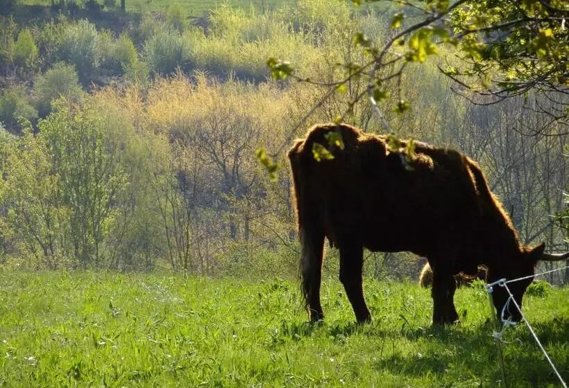 ベッドアンドブレックファースト Chambres D Hôtes Le Foursou