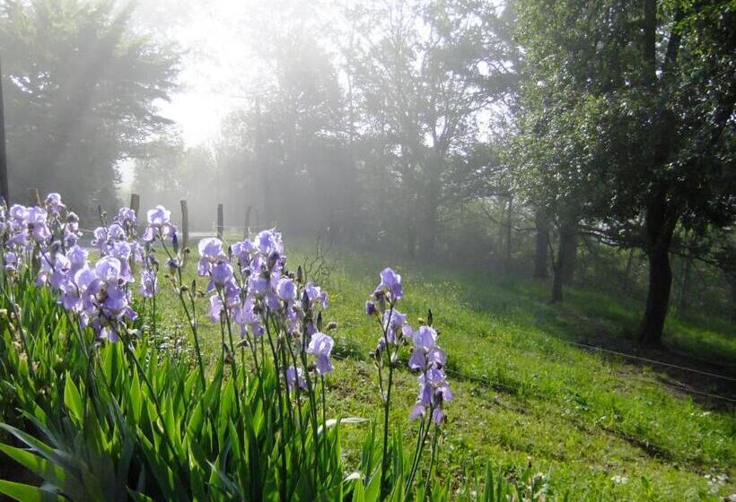 ベッドアンドブレックファースト Chambres D Hôtes Le Foursou