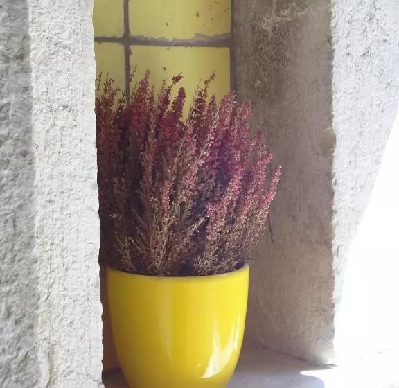 Bed And Breakfast Pa  Carrera