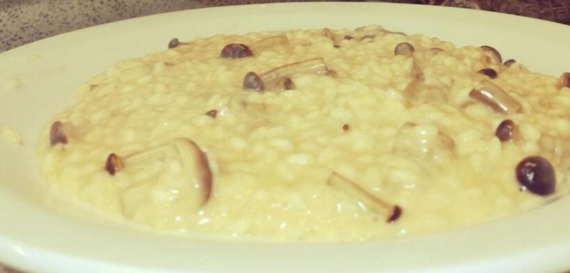 ホテル Agriturismo Alle Rose