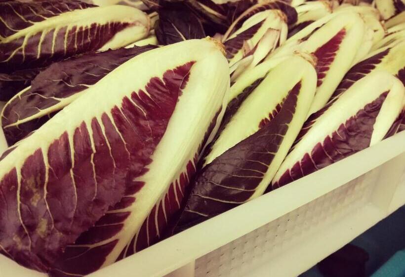 ホテル Agriturismo Alle Rose