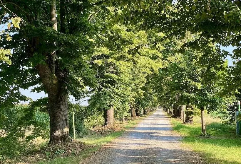 ホテル Agriturismo Tenuta Castel Venezze