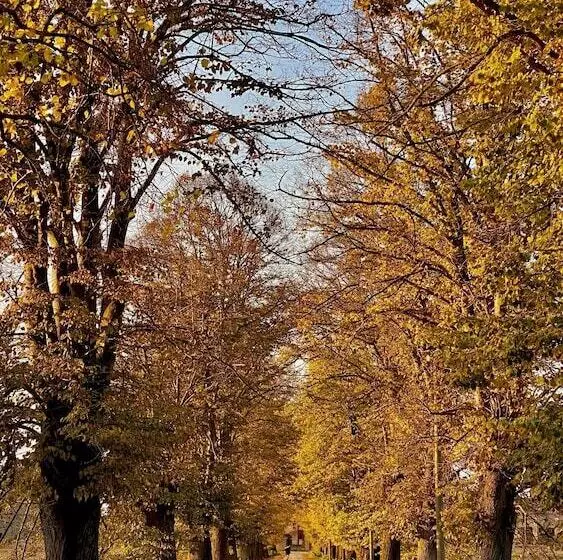 ホテル Agriturismo Tenuta Castel Venezze