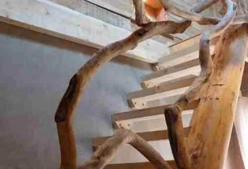 ホテル Hôtel Green Ecolodge