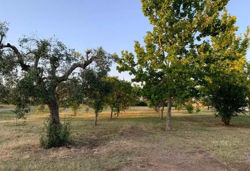 ホテル Masseria Montedoro
