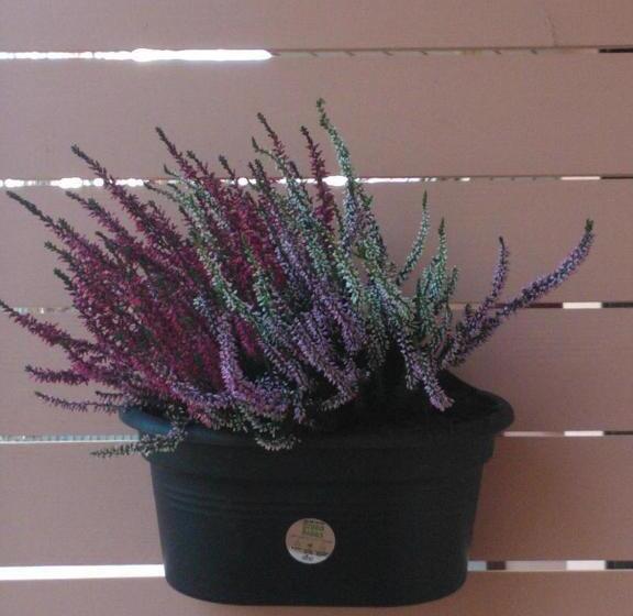 Jääskän Loma Apartment Hotel Härmä