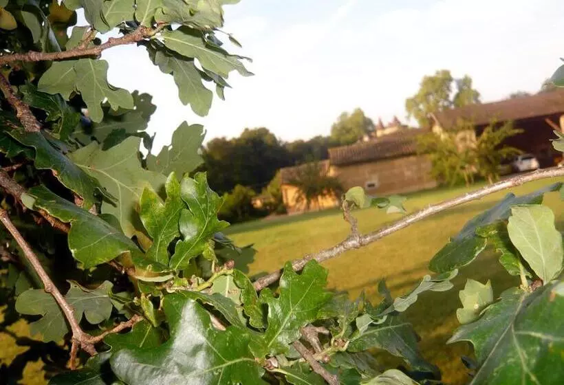 Majatalo Bed & Breakfast   Maison De Marie