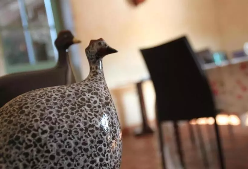 Majatalo Bed & Breakfast   Maison De Marie
