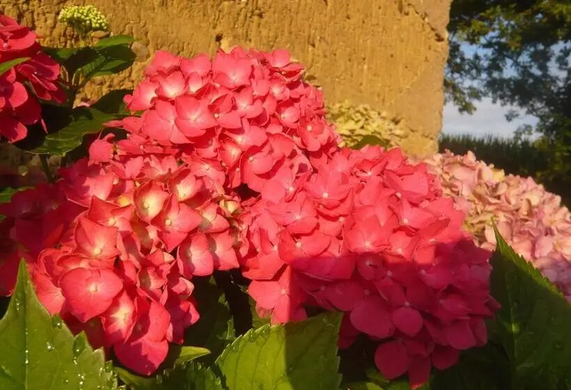Majatalo Bed & Breakfast   Maison De Marie