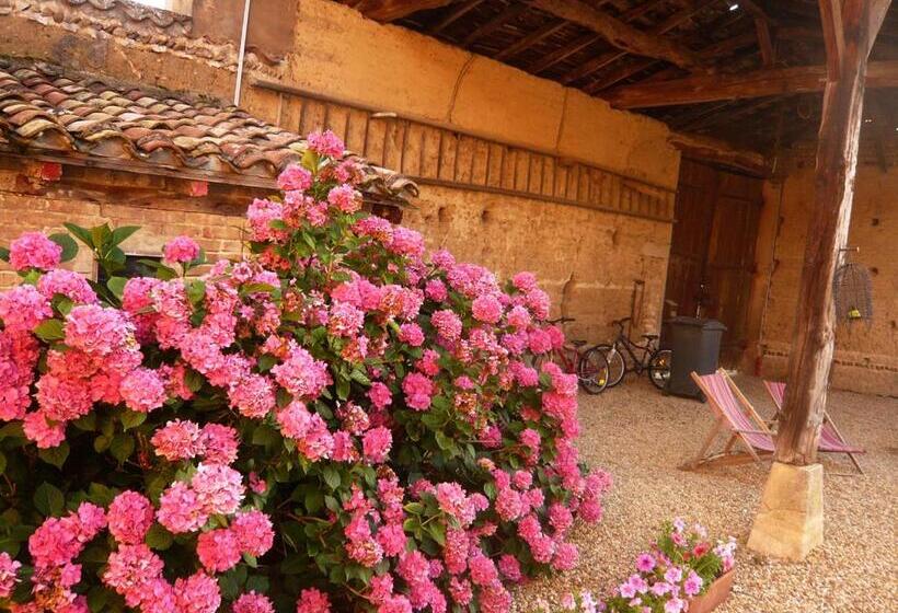 פנסיון Bed & Breakfast   Maison De Marie