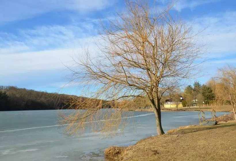 ペンション Dedesi Vendégház Zalalövő