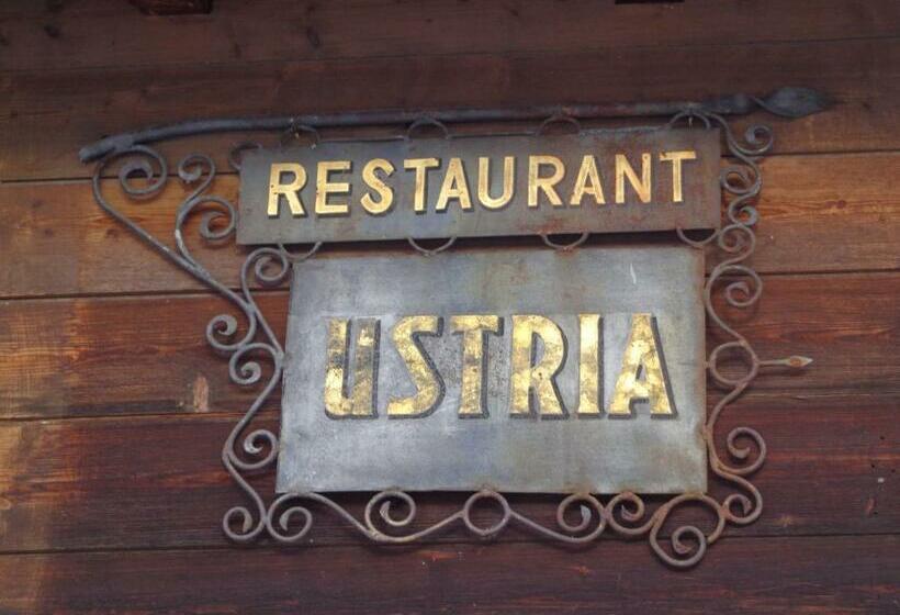 膳宿费 Gasthof Surselva