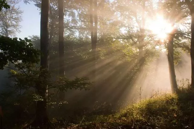 Majatalo Kétkerék Vendégház   A Mátrai Szállás
