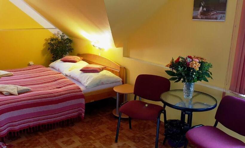 פנסיון Penzion U Sýkorů