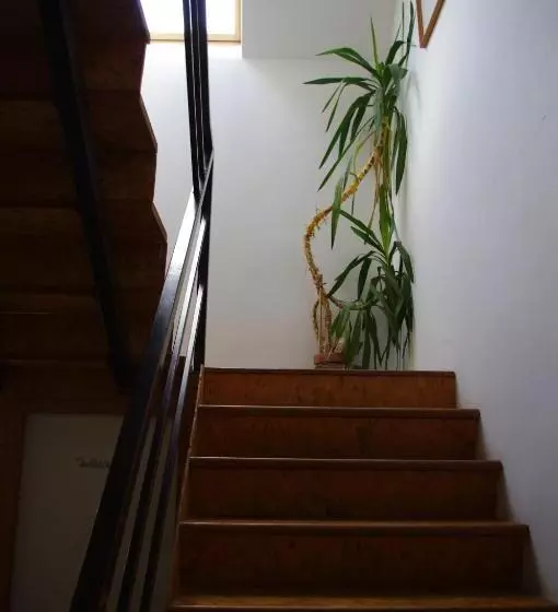 ペンション Vadszőlő Szálló és Étterem Bakonybél