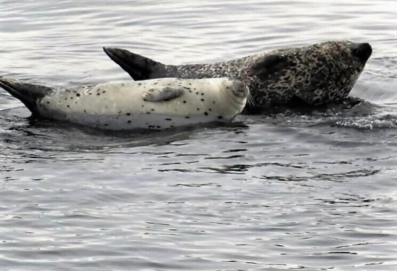 Restaurant Motel L étoile Du Nord