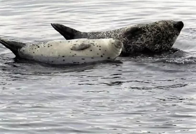 Restaurant Motel L étoile Du Nord