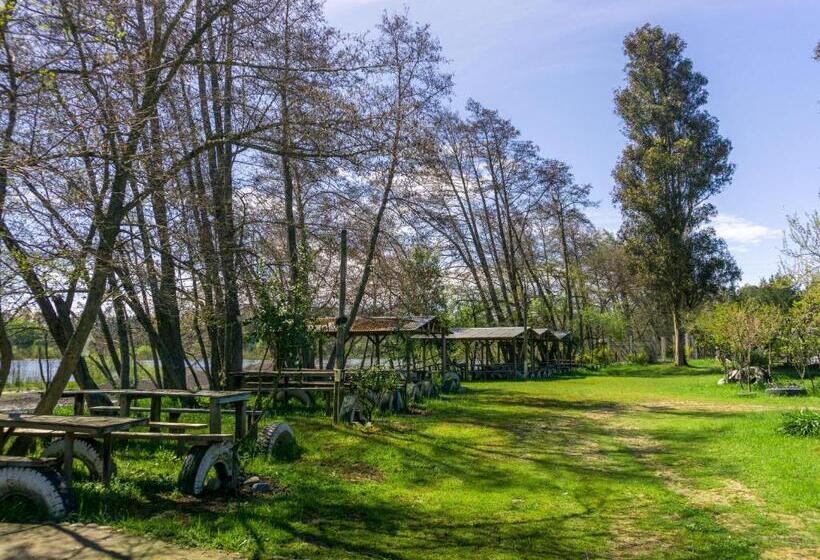 فندق صغير Coyunche Cabañas Y Camping Laja & San Rosendo