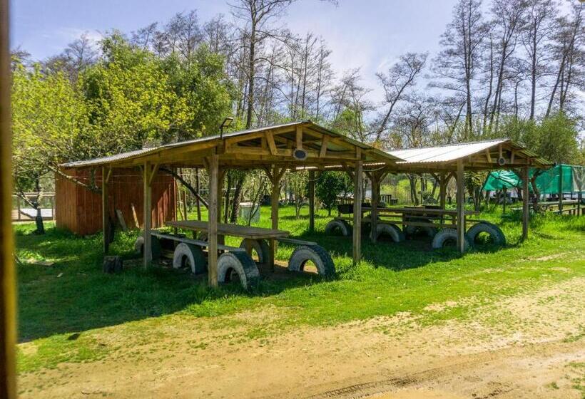 فندق صغير Coyunche Cabañas Y Camping Laja & San Rosendo