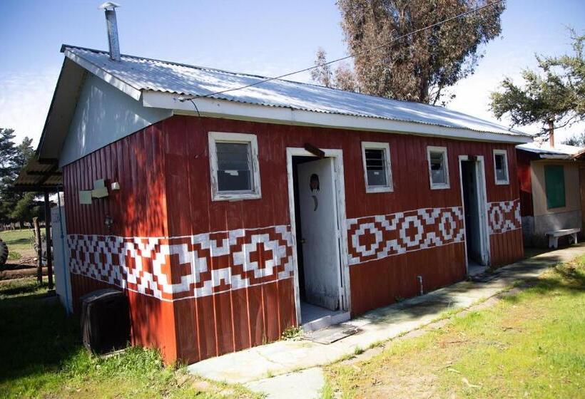 فندق صغير Coyunche Cabañas Y Camping Laja & San Rosendo