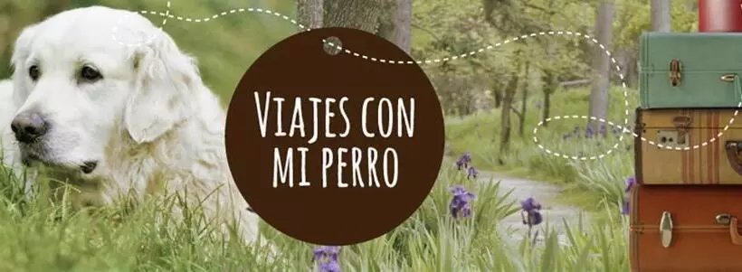 ユースホステル Coyunche Cabañas Y Camping Laja & San Rosendo