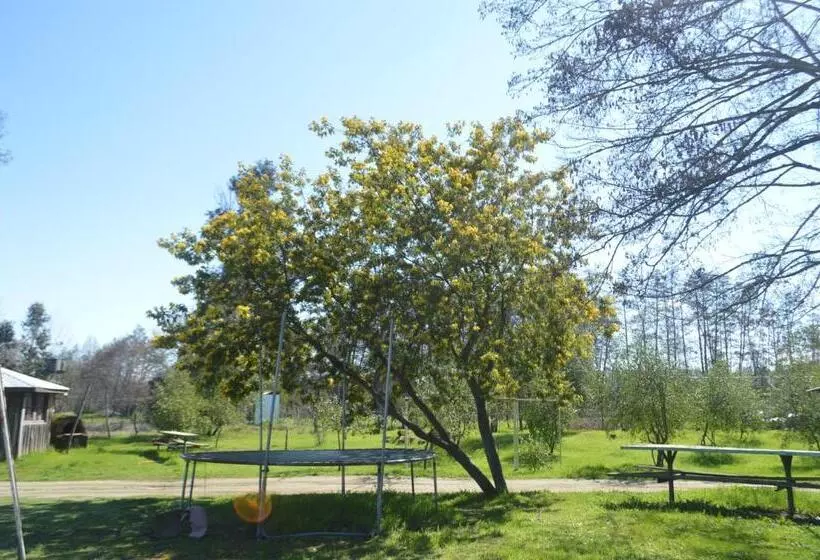 ユースホステル Coyunche Cabañas Y Camping Laja & San Rosendo