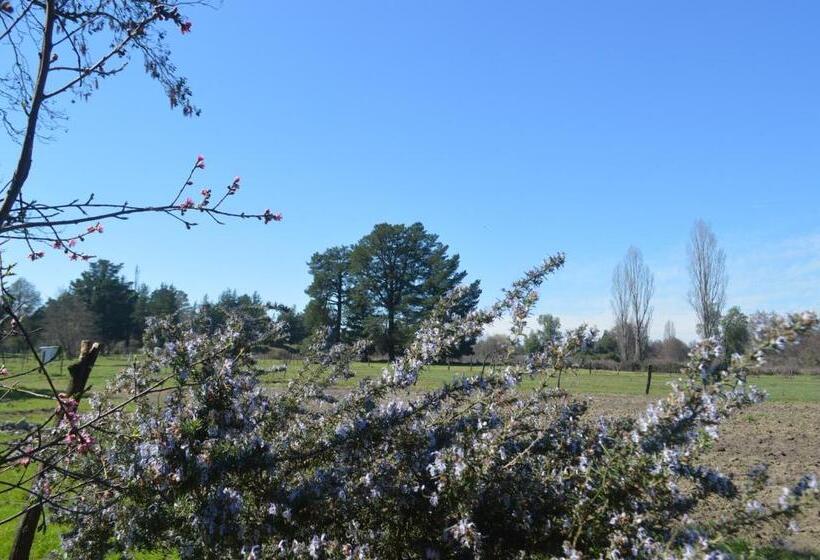 فندق صغير Coyunche Cabañas Y Camping Laja & San Rosendo