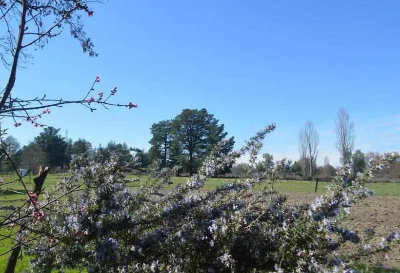 ユースホステル Coyunche Cabañas Y Camping Laja & San Rosendo